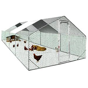 XXL Recinto per Galline – Parco da 24 m² in Acciaio Zincato con Struttura Rinforzata.